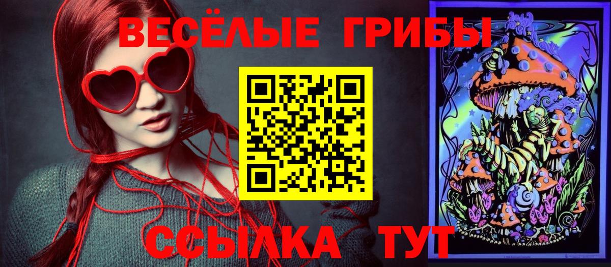 Псилоцибиновые грибы Psilocybe Балашиха